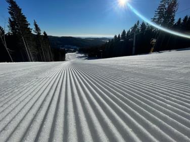 Image for: Bodové lístky